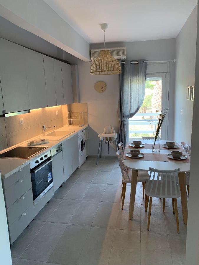 Gerakini Apartment Psakoudia Dış mekan fotoğraf