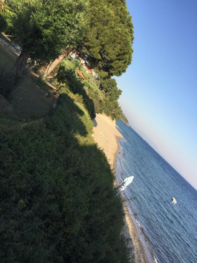 Gerakini Apartment Psakoudia Dış mekan fotoğraf