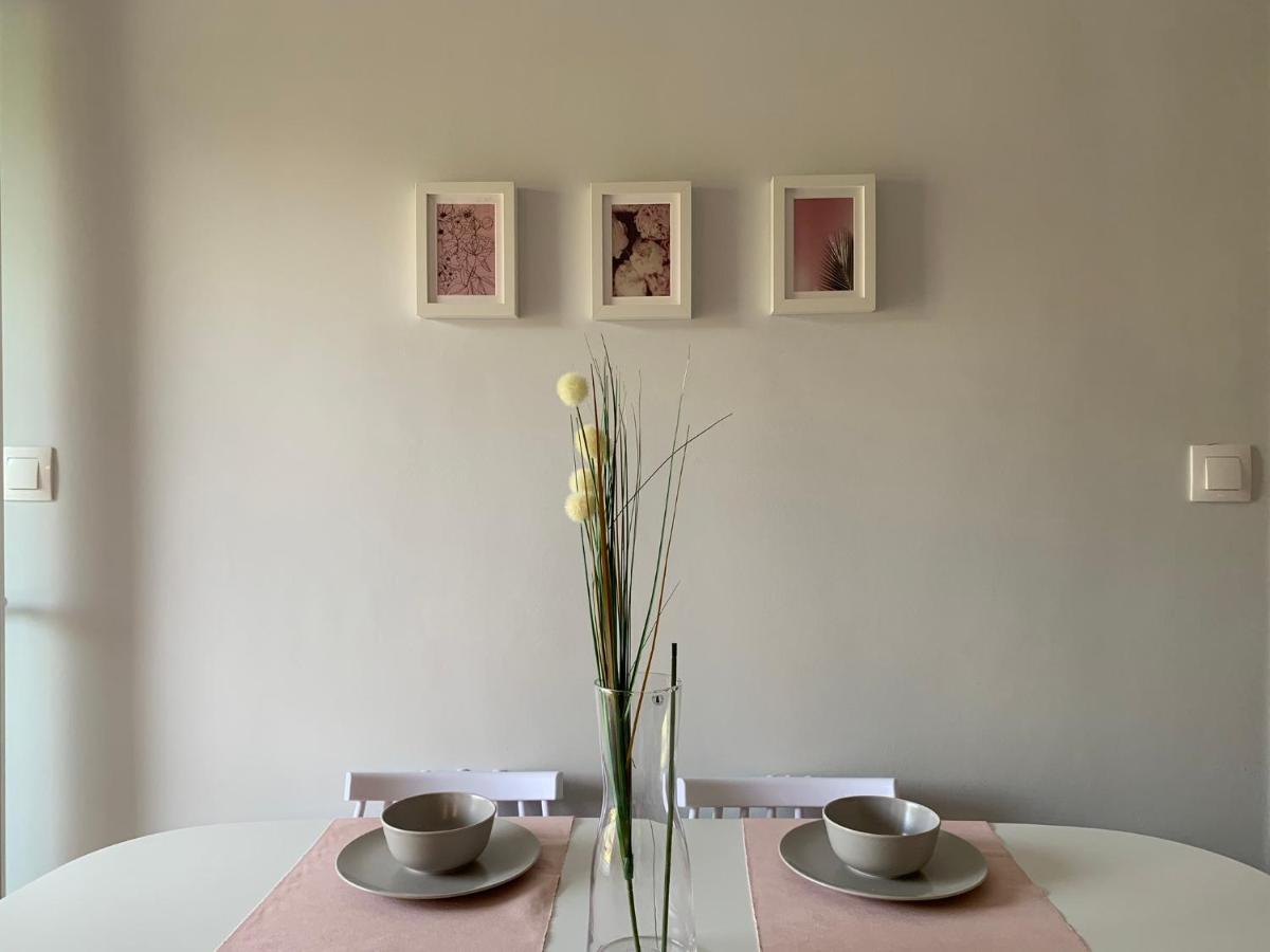 Gerakini Apartment Psakoudia Dış mekan fotoğraf