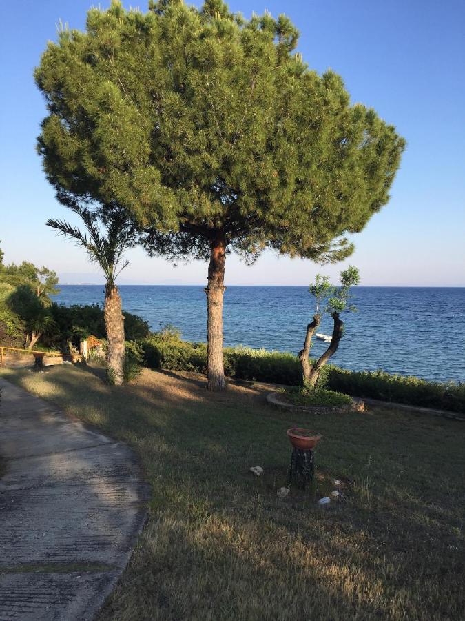 Gerakini Apartment Psakoudia Dış mekan fotoğraf
