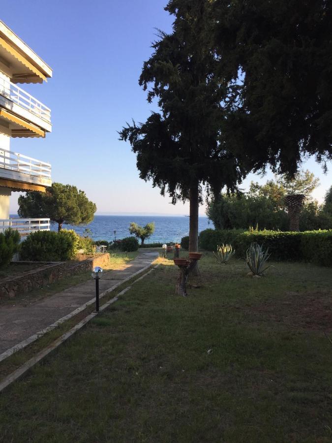 Gerakini Apartment Psakoudia Dış mekan fotoğraf