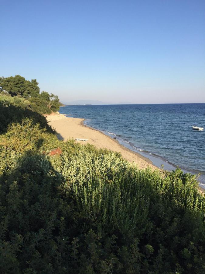 Gerakini Apartment Psakoudia Dış mekan fotoğraf